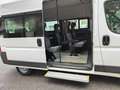 Fiat Ducato 33 2.2 MJT TRASPORTO DISABILI CON PEDANA +IVA Weiß - thumbnail 6