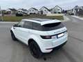 Land Rover Range Rover Evoque HSE Dynamic BLACK DESIGN Weiß - thumbnail 12