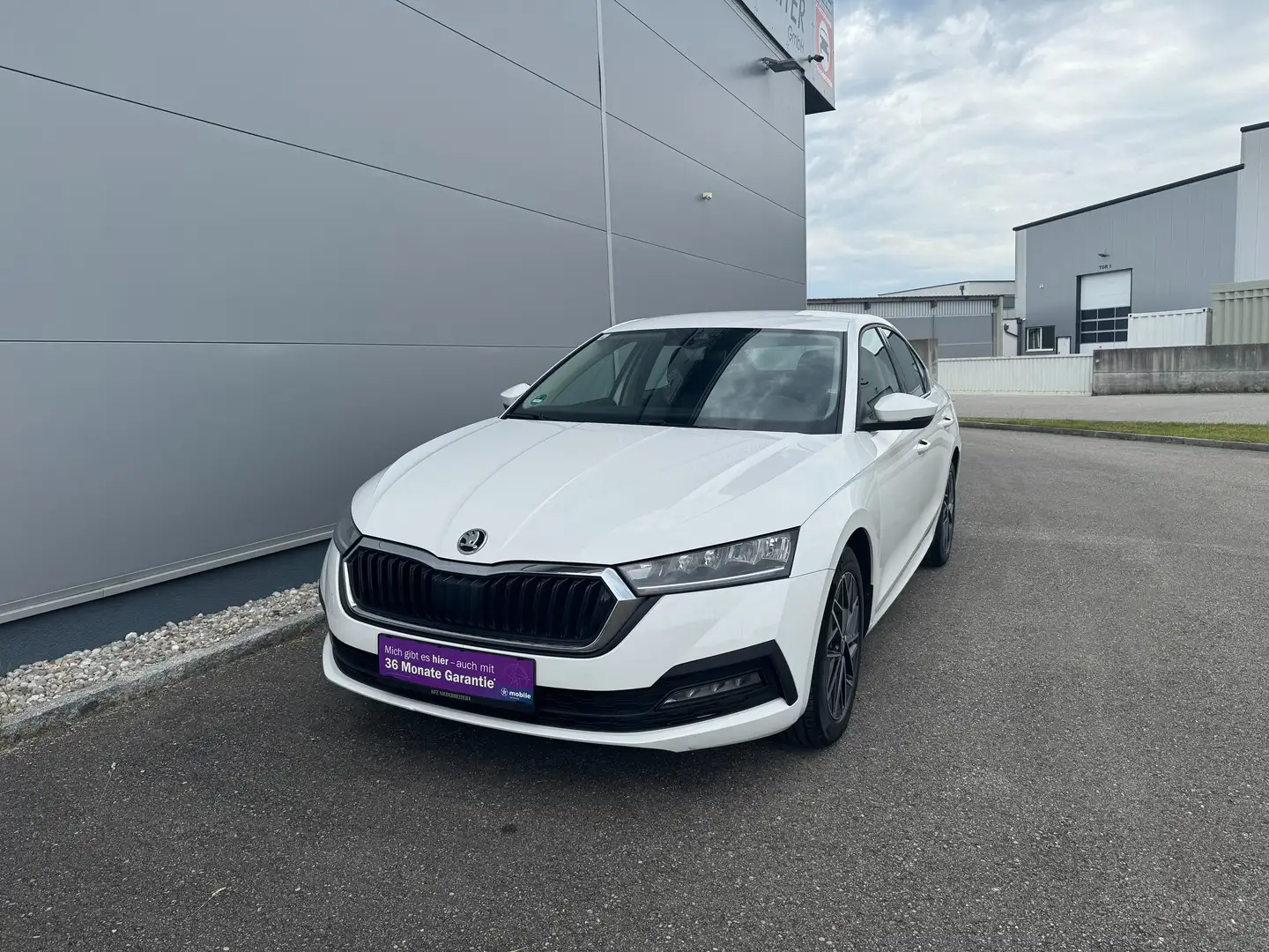 Skoda Octavia 2,0 TDI Business **GARANTIE**LED**APP**NAVI** Weiß - 1