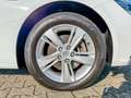 Opel Insignia B Sports Tourer Business | KeylessGo Weiß - thumbnail 14