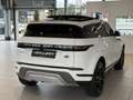 Land Rover Range Rover Evoque 2,0 D150 Aut.*Allrad*Panorama*Surround-Kamera*ACC Weiß - thumbnail 5