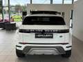 Land Rover Range Rover Evoque 2,0 D150 Aut.*Allrad*Panorama*Surround-Kamera*ACC Weiß - thumbnail 6