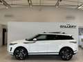 Land Rover Range Rover Evoque 2,0 D150 Aut.*Allrad*Panorama*Surround-Kamera*ACC Weiß - thumbnail 1