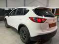 Mazda CX-5 CX-5 2,0i Attraction Attraction Weiß - thumbnail 2