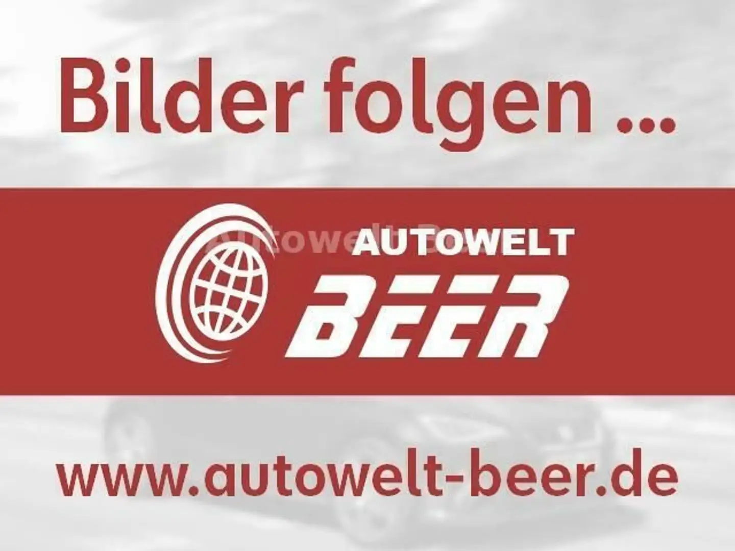 CUPRA Formentor VZ 4Drive 2.0 TSI DSG 310 PS Grau - 1