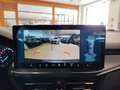 Ford Focus SW 1.5EcoBlue 115cv auto ST-Line Co-Pilot SYNC 4 Gris - thumbnail 13
