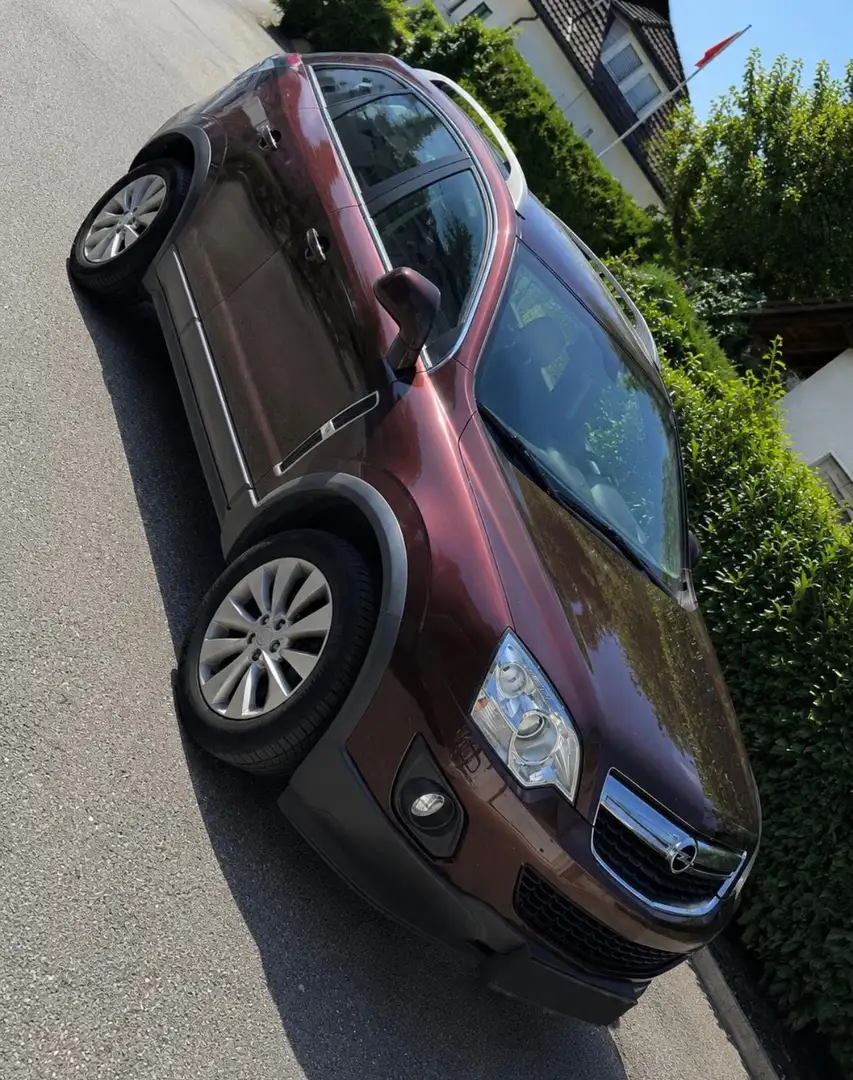Opel Antara 2,2 CDTI Style Aut. Braun - 2