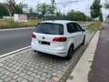 Volkswagen Golf Sportsvan SOUND 1.6 TDI Bluemotion Business pack Білий - thumbnail 4