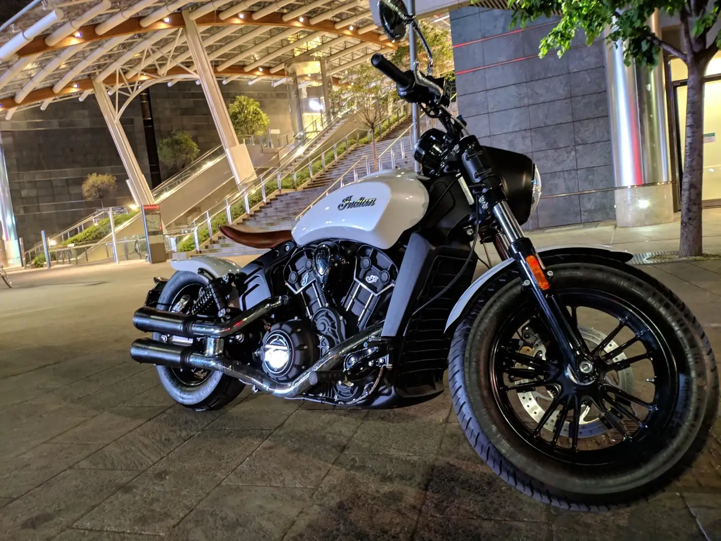 Indian Scout Bianco - 2