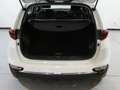 Kia Sportage 1.6 MHEV Drive 100kW (136CV) 4x2 Blanco - thumbnail 6