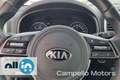 Kia Sportage Sportage 1.6 CRDI 136cv DCT7 2WD Mild Hybrid Style Grigio - thumbnail 7