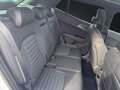 Kia Sportage SPORTAGE 1.6D 48V AWD GT-Line DCT Navi Pano SHZ Blanc - thumbnail 14