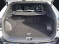 Kia Sportage SPORTAGE 1.6D 48V AWD GT-Line DCT Navi Pano SHZ Blanc - thumbnail 15