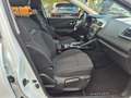 Renault Kadjar Business Edition *1.5 DCI  Automatik* Weiß - thumbnail 12