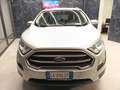 Ford EcoSport 1.0 EcoBoost 100 CV Plus Argento - thumbnail 1