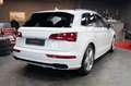 Audi Q5 3.0 TDI quattro sport S-line*MATRIX*NAVI*ACC* Weiß - thumbnail 7