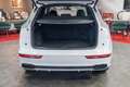 Audi Q5 3.0 TDI quattro sport S-line*MATRIX*NAVI*ACC* Weiß - thumbnail 30