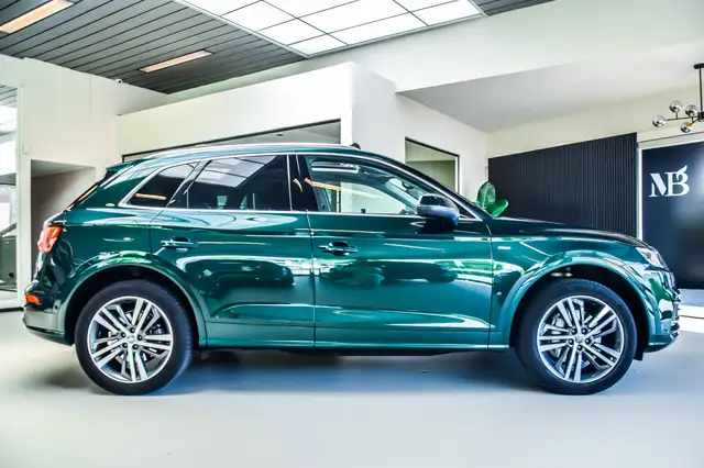 Audi Q5 view 11