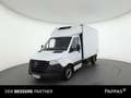 Mercedes-Benz Sprinter 314 CDI Koffer Kühlfzg Standard Weiß - thumbnail 1