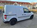 Volkswagen Caddy 1.6TDI 2.deut.H. Tüv neu!! Weiß - thumbnail 3