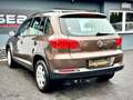 Volkswagen Tiguan 2.0 TDI Trend & Fun '1.Hand'Klima'SHZ' Braun - thumbnail 9