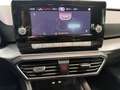 SEAT Leon 2.0 TDI DSG Style GRA LED APP SHZ PDC Gris - thumbnail 14