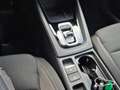 Skoda Octavia Combi 1.5 TSI 150PS m-HEV DSG Selection AHK Kli... Grau - thumbnail 28