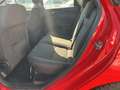 Ford Focus Lim. Zahnriemen neu TÜV neu Rouge - thumbnail 12
