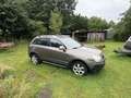Opel Antara 2.4-16V Enjoy Beige - thumbnail 2