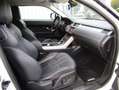 Land Rover Range Rover Evoque 2.2 SD4 Dynamic BVA 3p Blanc - thumbnail 6