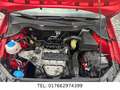 Volkswagen Polo V Match/Nur 38588 Km/ 1 Hand/Voll Service Rojo - thumbnail 19