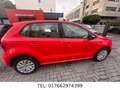 Volkswagen Polo V Match/Nur 38588 Km/ 1 Hand/Voll Service Rojo - thumbnail 5