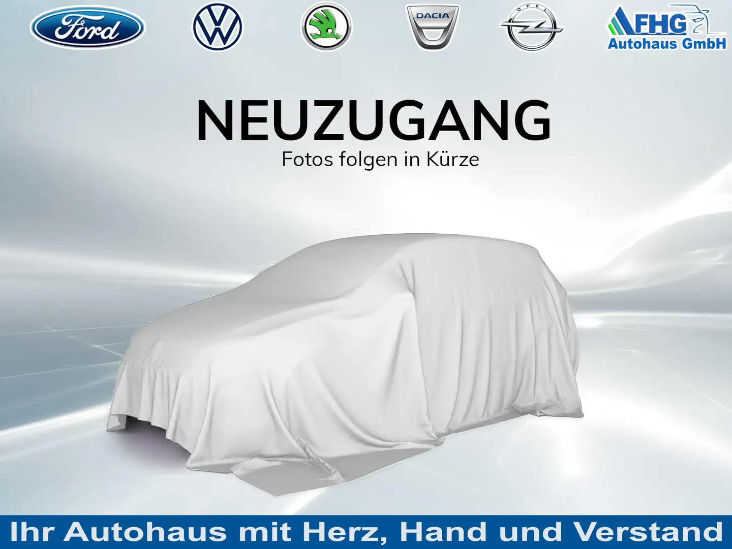 Skoda Fabia Drive+5JahreGarantie Drive 1.0 TSI 5 Jahre Gara... Grau - 1