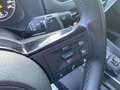 Nissan Qashqai MHEV 158 CV Xtronic Business Grigio - thumbnail 14