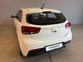 Kia Rio 1.2 Style Gpl 82cv Bianco - thumbnail 7