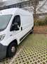 Fiat Ducato Ducato 33 130 Multijet L4H3 - thumbnail 3