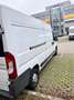 Fiat Ducato Ducato 33 130 Multijet L4H3 - thumbnail 2