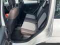 Fiat Panda 1.0 hybrid City Cross s Blanc - thumbnail 14