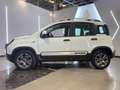 Fiat Panda 1.0 hybrid City Cross s Bianco - thumbnail 5