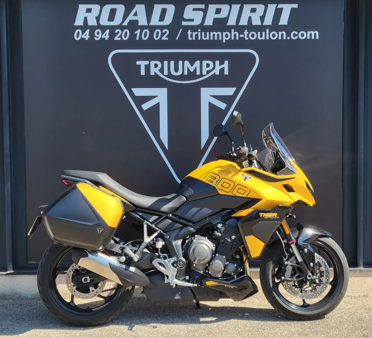 Triumph Tiger Sport Sarı - 1