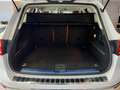Volkswagen Touareg V6 TDI BMT/Start-Stopp 4Motion + Weiß - thumbnail 23