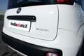 Fiat Panda 1.0 firefly hybrid - OK NEO PATENTATI Bianco - thumbnail 12