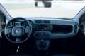Fiat Panda 1.0 firefly hybrid - OK NEO PATENTATI Bianco - thumbnail 11
