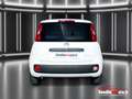 Fiat Panda 1.0 firefly hybrid - OK NEO PATENTATI Bianco - thumbnail 14