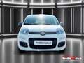Fiat Panda 1.0 firefly hybrid - OK NEO PATENTATI Bianco - thumbnail 2