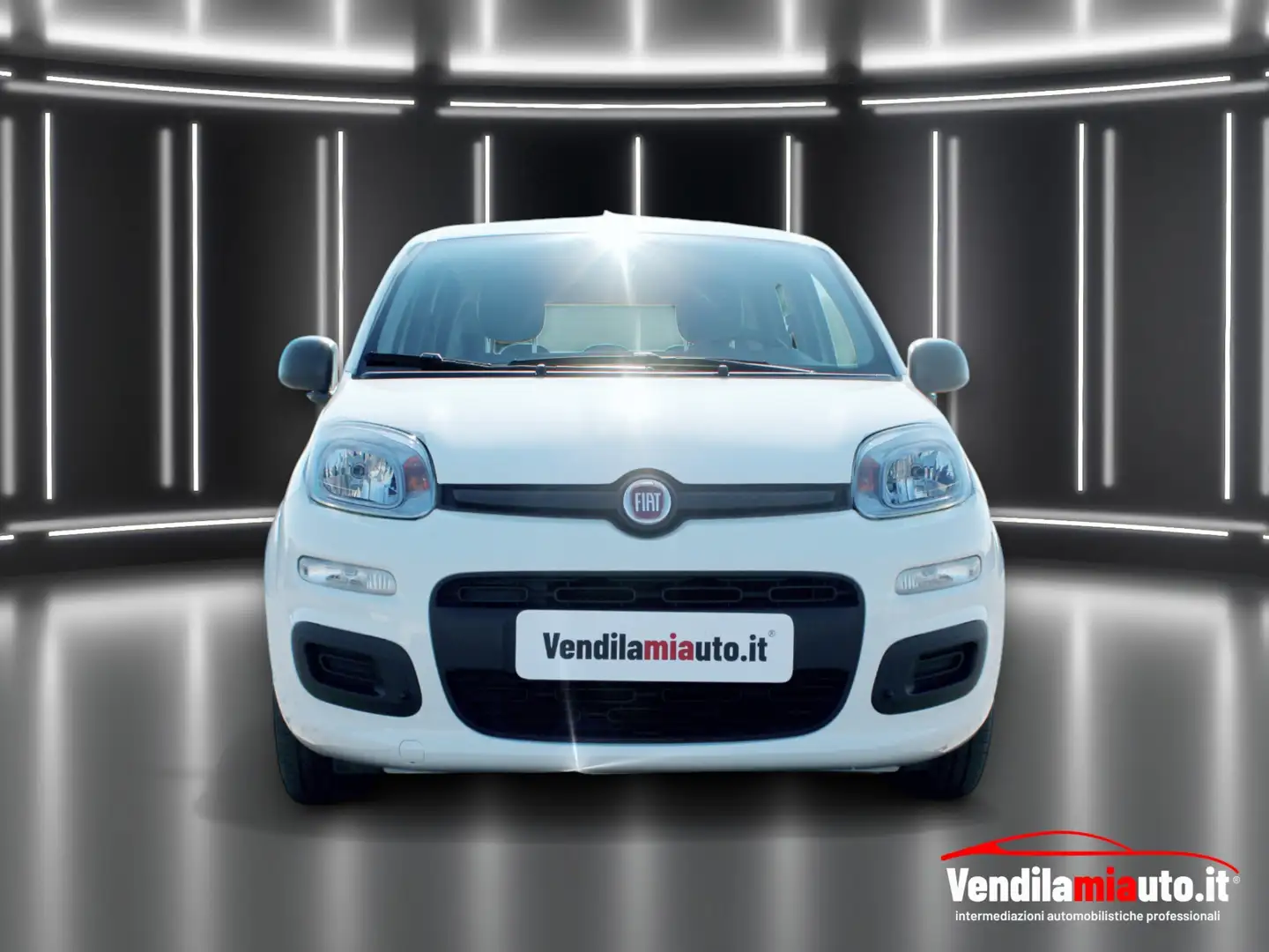 Fiat Panda 1.0 firefly hybrid - OK NEO PATENTATI Bianco - 2