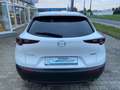 Mazda CX-30 😍Homura 2WD/ Aktionsangebot im Oktober😍 Blanc - thumbnail 5