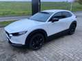 Mazda CX-30 😍Homura 2WD/ Aktionsangebot im Oktober😍 Blanc - thumbnail 2