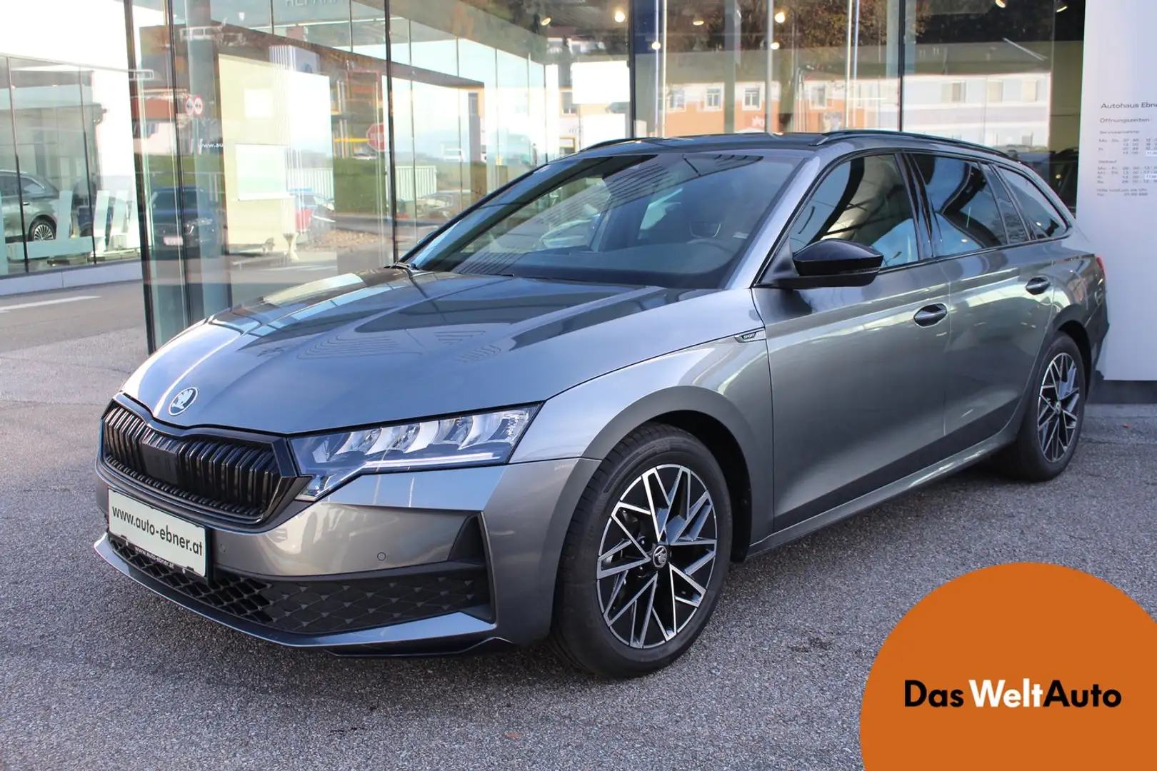 Skoda Octavia Sportline TDI Grau - 1