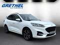 Ford Kuga Plug-In Hybrid ST-Line X 2.5 Duratec -PHEV EU6d HU Weiß - thumbnail 1